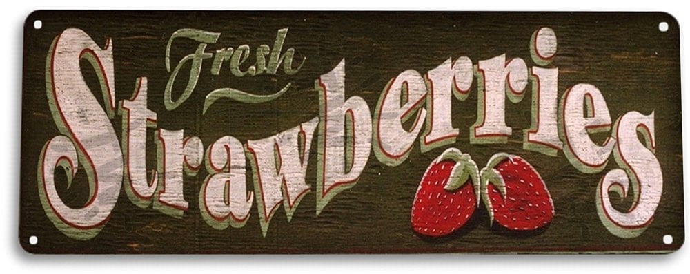 TIN SIGN Fresh Strawberries Metal Décor Garden Farm Shop Fruit Cottage A872 