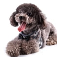 thumbnail image 4 of Laegsmetg Cat Harness and Leash Set for Walking Cat and Small Dog Harness Soft Harness Adjustable Cat Vest Harness Comfort Fit for Pet Kitten Puppy Rabbit,grey, 4 of 6