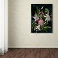 thumbnail image 3 of Trademark Fine Art 'Flower Show I' Canvas Art by Julia Purinton, 3 of 3