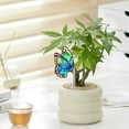 thumbnail image 5 of Insert de Pot en Acrylique Décoration, 5 of 5