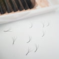 thumbnail image 5 of Supmacio Lash Extension 3D Clover W Eyelashes Soft 0.07mm 8-15 Mixed Ready-Made Bundles 3DW Lashes, 5 of 7