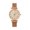 Rose Gold -BF37, variant on Resicozy Watch for Women Classic Round Dial Quartz Wristwatch Mesh Strap Bracelet Watch