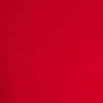 Brilliant Red