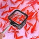 thumbnail image 4 of Red de pesca reemplazable, red de pesca portátil, aparejos de pesca, cesta telescópica para pescar., 4 of 6