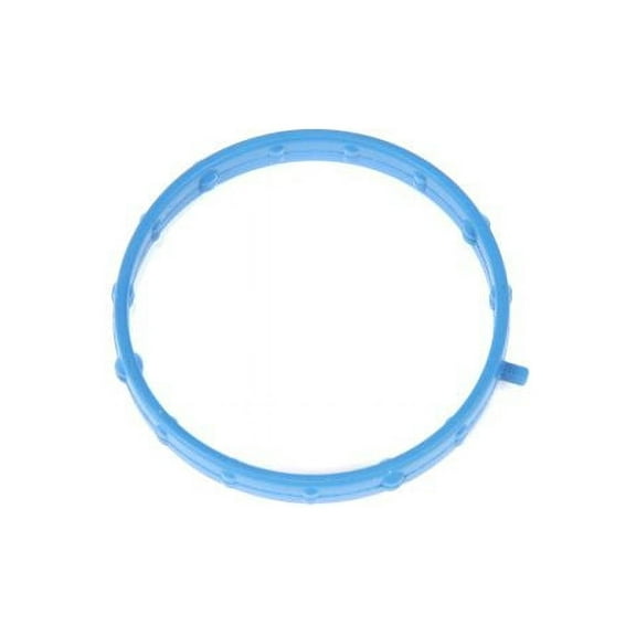 Throttle Body Mounting Gasket