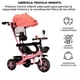 thumbnail image 2 of Triciclo para Bebe Triciclo Montable De 4 A 10 Años Carriola Montable con Sombrilla para Sol Silla Ajustable Carrito de Paseo Transformable Plegable Triciclo Infantil, 2 of 8