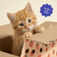 thumbnail image 4 of Oodles Ventilated Cardboard Small Animal Carrier with Handle, Pink Fresh Strawberry Print, 3-pack, 4 of 10