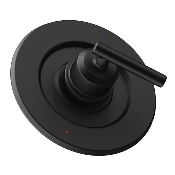 MOMOJIA Modern Shower Valves Trim Kit for 2520 Pressure Balancing Valves
