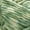 Vert frais, variante sur Bernat® Blanket Mist-ical™ #6 Super Bulky Polyester fil, 10.5oz/300g 220 Yards