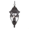 thumbnail image 2 of Acclaim Lighting 39226 Black Coral Capri 3 Light Outdoor Pendant, 2 of 2