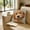 C, variant on Rijanmt Dog Pillowcase Pet Photo Collection Cushion Cover,Printing Square Sofa Decorative Pillow Cover,Puppy Art Decorative Pillow Case,For Couch Sofa Bed Decor,Gift Idea For Dog Lovers,18*18",E