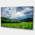 thumbnail image 2 of Thunderstorm Weather over Vineyards - Landscape Canvas Art Print, 2 of 4