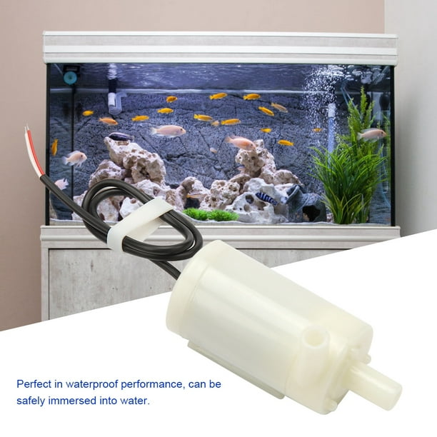 Decdeal Mini pompe à eau sans brosse Ultra-silencieuse DC12V 10W avec  5.5*2.1mm femelle étanche submersible fontaine aquarium circulant 400L/H  ascenseur 400cm 