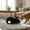 B002- Black, variant on Cat Toy Interactive Wind Up Rat Figure, 1 Pc, Snappy Tail Cat Toy, Indoor Cat Enrichment, Quiet Play
