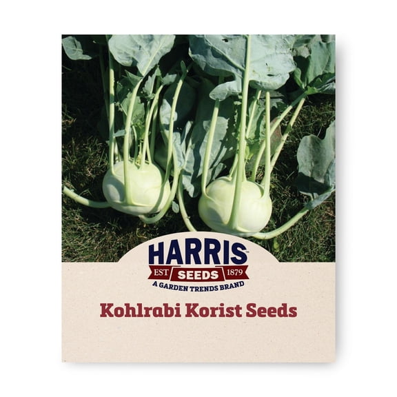 Harris Seeds Korist F1 Organic Kohlrabi, Green Globe Variety with Crisp White Flesh, 50 Count