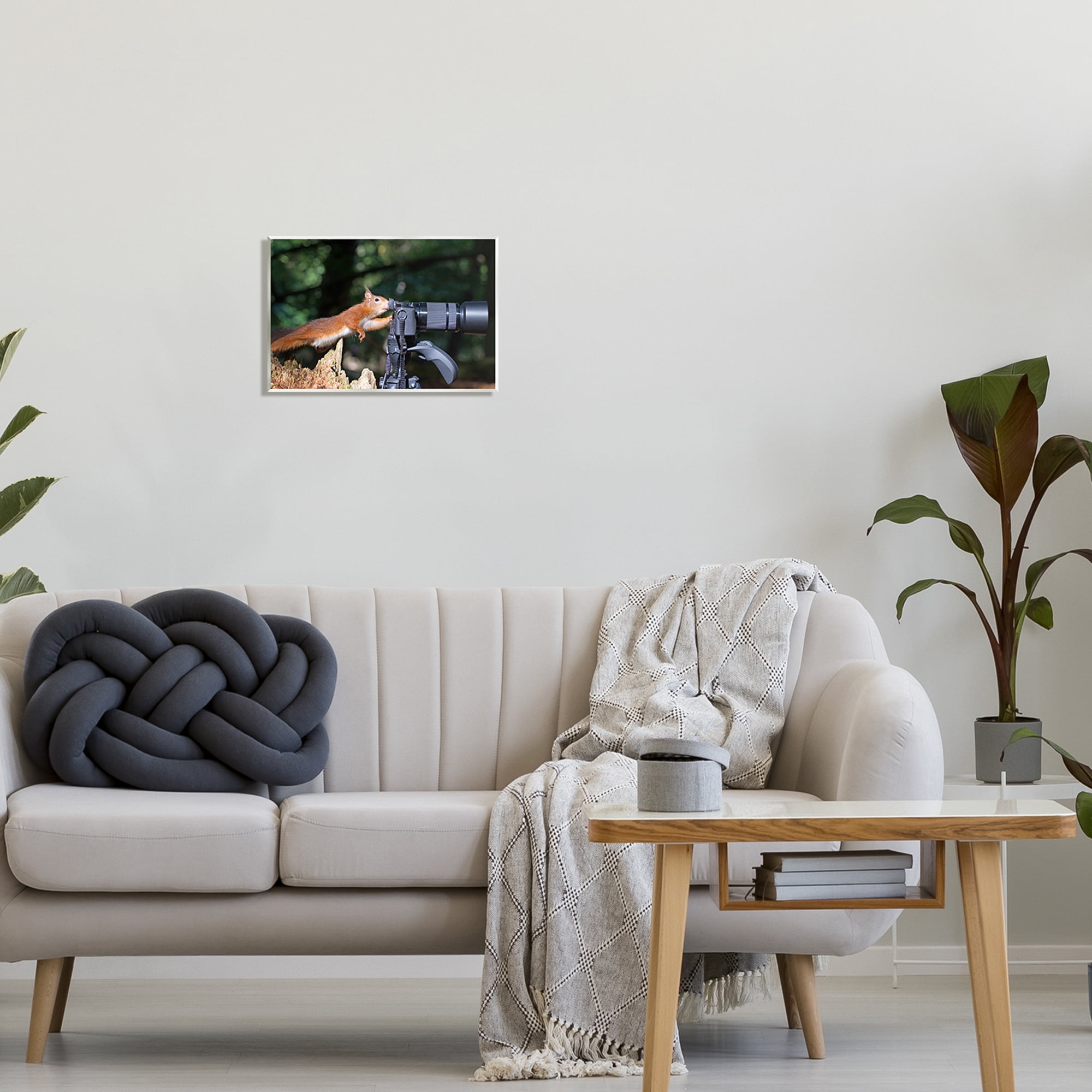 Stupell Industries Funny Squirrel Photographer Animals & Insects Photography Unframed Art Print Wall Art, 15 x 10