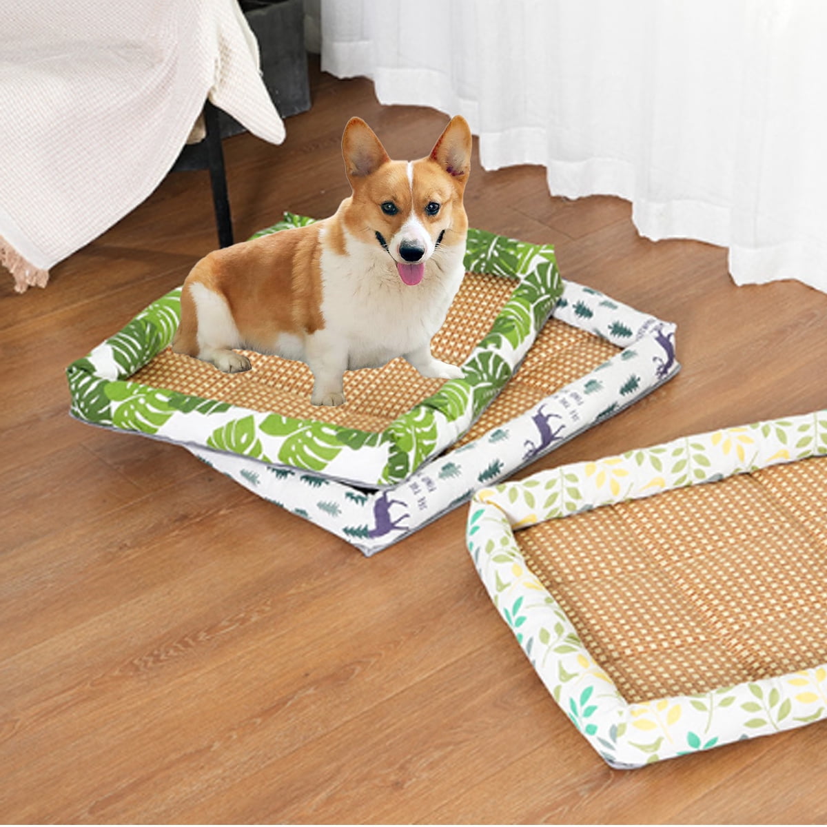 Losy pet bed 2025
