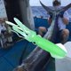 thumbnail image 1 of 5x Calamar luminoso 10cm 8g Señuelos Crankbait Cebo de pesca suave artificial (3), 1 of 5