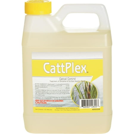 Catt Plex Quart