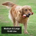 thumbnail image 4 of Dog Toys for Aggressive Chewers Bone Dog Toy Interactive Dog Toys for Large Dog Chew Toys for Aggressive Chewers,Dinosam Indestructible Dog Toy for Medium Large Dogs, 4 of 7