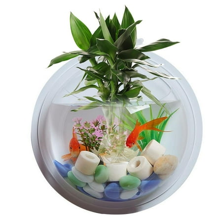 Fish Bowl Acrylic Wall Hanging Tank Aquarium Vase Plant Decorative Flower Pot Transpa Dust Ball Cover Canada - Wall Mounted Fish Tanks White Fish Bowl Acrylic Wall Hanging Tank Aquarium Vase Plant Decorative Flower Pot Transpa Dust Ball Cover Canada - Wall Mounted Fish Tanks White