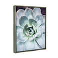 thumbnail image 3 of Stupell Industries Succulent Leaves Water Droplets Botanical & Floral Photography Gray Floater Framed Art Print Wall Art, 3 of 6