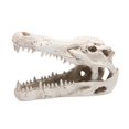 thumbnail image 5 of Dinosaur Aquarium Decorations Fish Figurine Triceratops Skull Novelty Dinosaur Fish Tank Decorations Resin Ornament Decorate for garden and home, 5 of 9