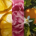 thumbnail image 3 of WoodWick Yuzu Blooms Medium Hourglass Candle, 3 of 8
