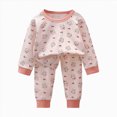 thumbnail image 6 of bwdbhd Toddler Girl Boys Pajamas Set Long Sleeve Pjs Baby Kids Sleepwear Winter Jammies, 6 of 6