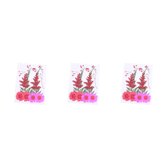 Advancent Ramos de flores secas, flores prensadas, pintura de pared múltiple, accesorios de bricolaje, suministros para fiestas, artículos para el hogar, Type1 NO1 Advancent CBP225323