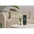 thumbnail image 4 of COCORRÍNA Eucalyptus & Moss Reed Diffuser Set, 4 of 4