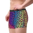 thumbnail image 4 of Bingfone Leopard Neon Rainbow Gradient Men'S Underwear - Casual Stretch Boxer Briefs-Small, 4 of 9