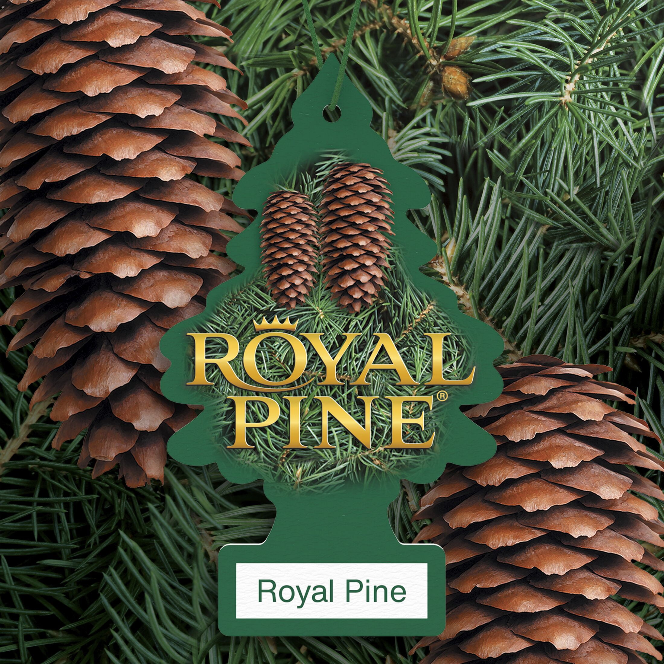 (2 pack) Little Trees Air Fresheners Royal Pine Fragrance 3-Pack