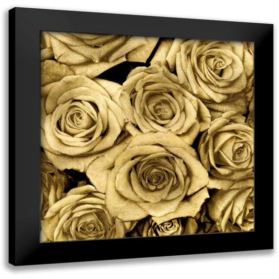 Bennett, Kate 12x12 Black Modern Framed Museum Art Print Titled - Gold Roses