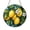 Acrylic 3.5 Inch, variant on Lemon Branch Stained Glass Round Suncatcher Window Hanging, Fresh Citrus Botanical Art Decor for Kitchen Spaces