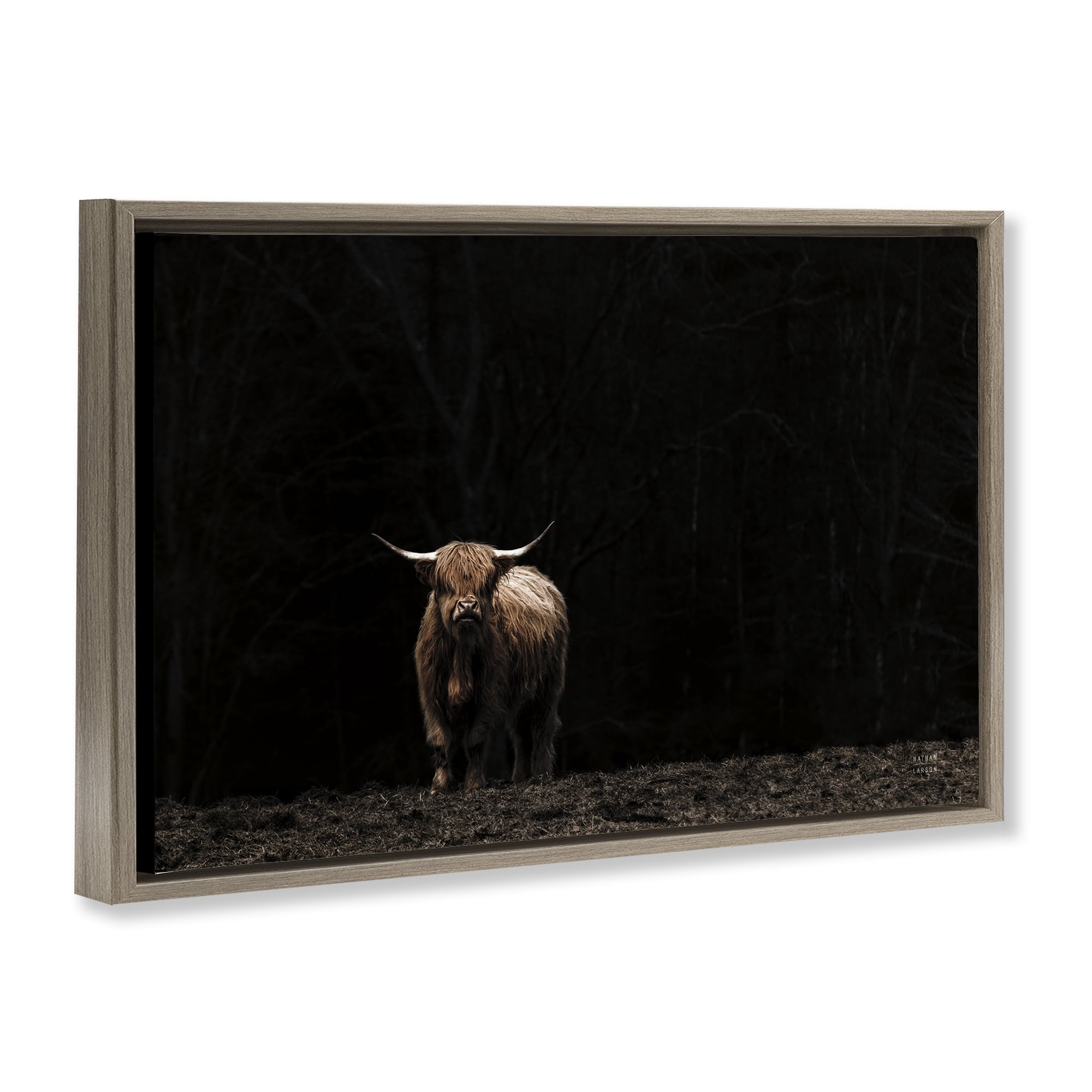 Stupell Industries Dark Contrast Highland Cow Animals Photography Brown Floater Framed Canvas Art Print Wall Art, 31 x 21