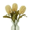 thumbnail image 4 of Hill Interiors Banksia Serrata Artificial Flower, 4 of 4