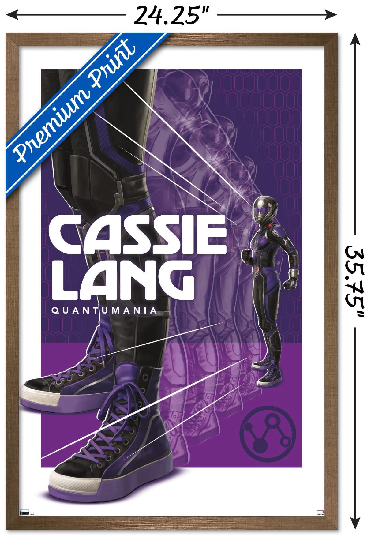 Marvel Ant-Man And The Wasp: Quantumania - Cassie Lang Wall Poster, 22.375" x 34" Framed