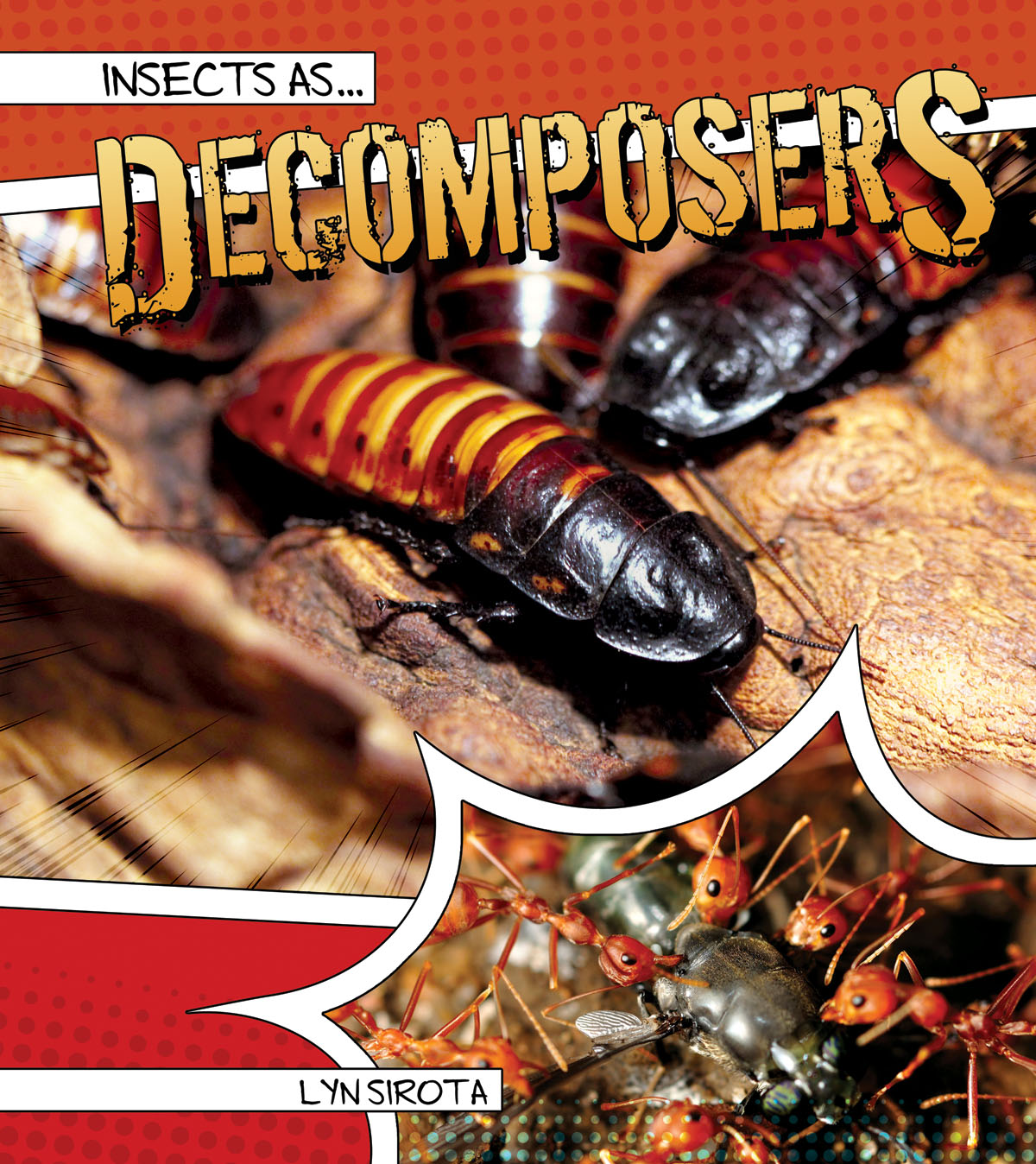 Decomposers