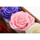 thumbnail image 5 of Rosa roja nuevo embalaje Mini cubo de abrazo Cubo de flores preservadas caja redonda de arreglo de flores preservadas de una sola rosa caja de regalo redonda ANGGREK Otros, 5 of 8