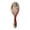 Pink and Red Peonies, variant on Wood Paddle Brush with Cushion & Round Hair Brush Lemon Pattern Detangling Brush for All Hair Types