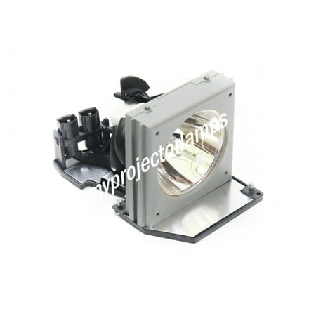 Optoma 25169089 Projector Lamp with Module