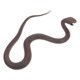 thumbnail image 1 of Serpiente mamba negra realista, juguete de broma para el Día de los Inocentes, Halloween y otras decoraciones para fiestas. Serpiente flexible para niños y adultos., 1 of 6