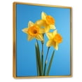 thumbnail image 2 of Designart "Daylight'S Yellow And Green Daffodils I" Daffodils Floater Framed Wall Art Prints, 2 of 5
