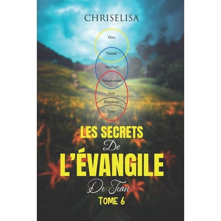 Tome: Les Secrets de l &Eacute;vangile de Jean: Tome 6 (Paperback)