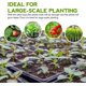 thumbnail image 5 of Bandejas de germinación de semillas de 10 piezas, bandeja de germinación de plantas de 12 células, bandejas de cultivo de trigo saludable (con 10 bandejas y tapas), 5 of 5