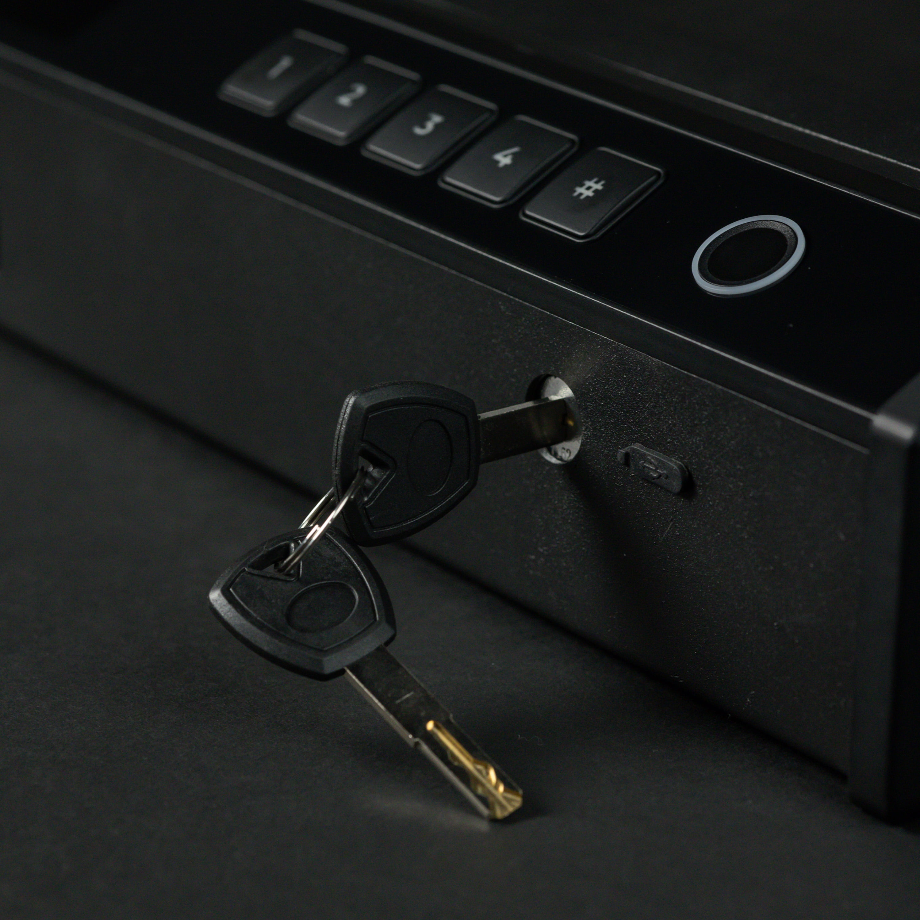 Swiss Tech Wächter 200 Biometric Gun Safe for 2 Handguns, Fingerprint Safe with LCD Display, USB-C Emergency Power, Keypad & Key Backup