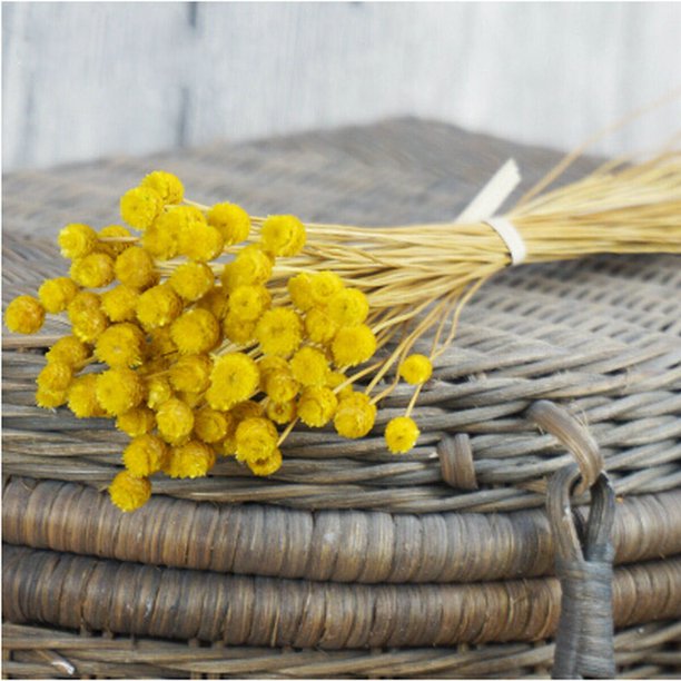 Natural Dried Flowers Bouquet Wedding Home Decoration Rabbit Tail Grass Real Flowers Walmart