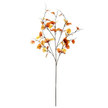 39" Brown Eucalyptus Stem by Ashland® - Artifical Fall Florals for Crafting and Home Decor