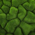 thumbnail image 4 of Luxshiny Adorno Artificial De Musgo Para Muro Panel Ligero Verde Para Bodas Y Hogar, 4 of 7
